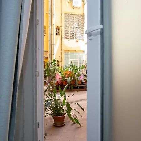 O Magenta Baylon B Roma