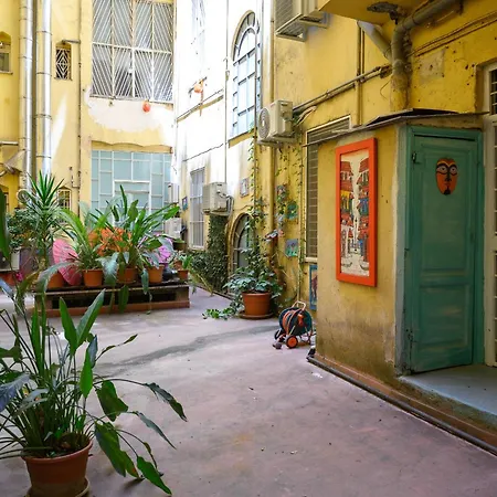 O Magenta Baylon B Roma