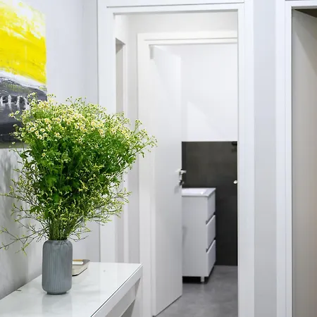 O Magenta Baylon B Pensión