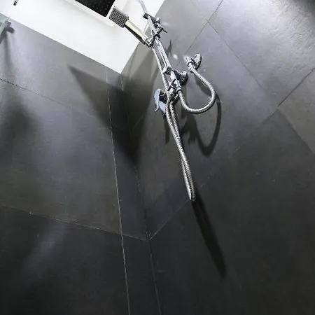 O Magenta Baylon B Roma